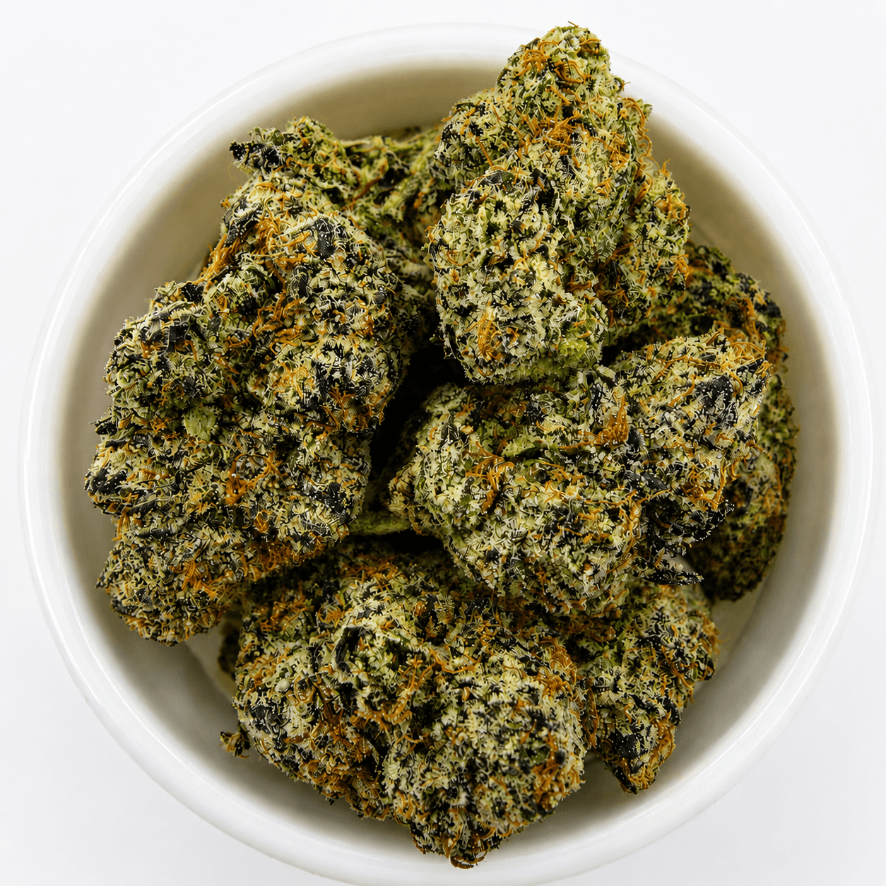 Gelato G41 -14G