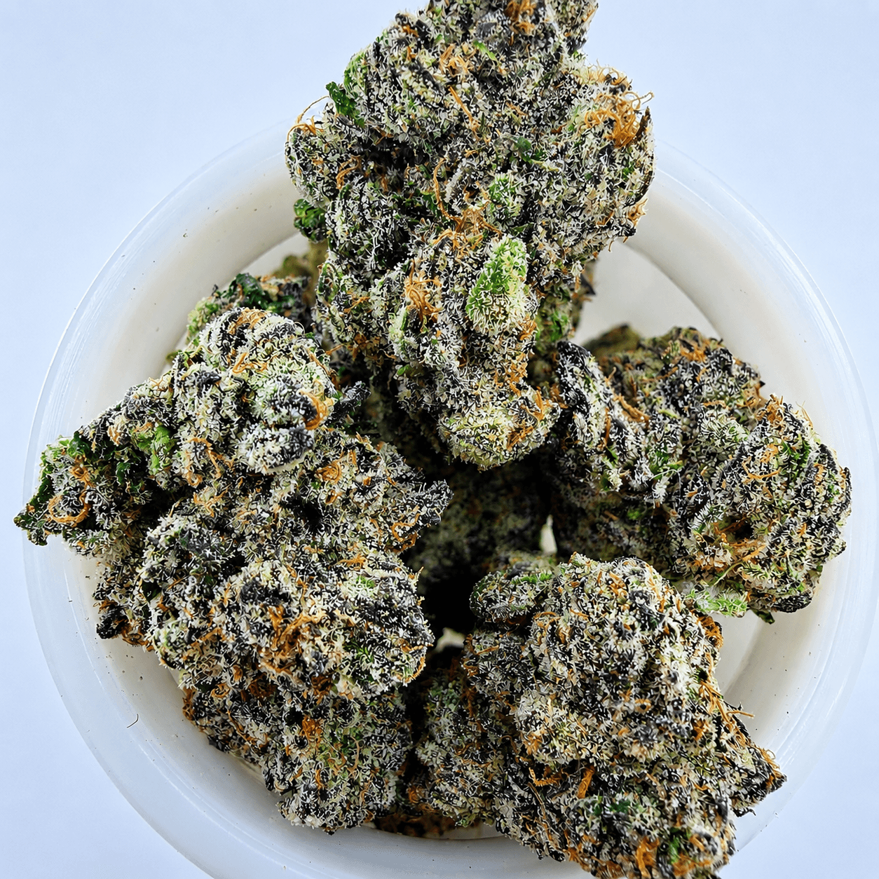 Rebel Runtz -14G